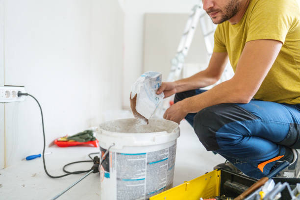 Best Mold Removal for HVAC Installations  in Georgetown, IN
