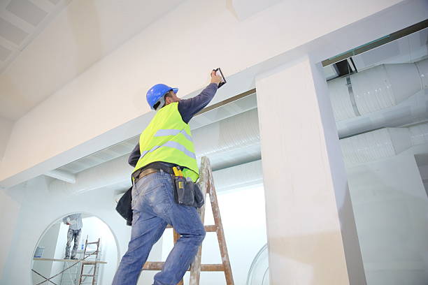 Best Mold Documentation for Insurance Claims  in Georgetown, IN